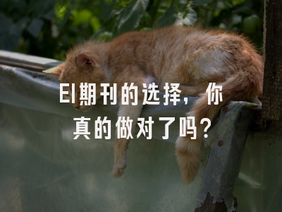 EI期刊的选择，你真的做对了吗？