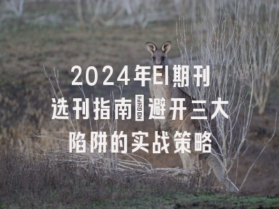 2024年EI期刊选刊指南：避开三大陷阱的实战策略