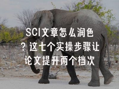 SCI文章怎么润色？这七个实操步骤让论文提升两个档次