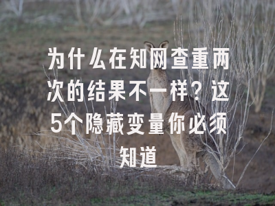 为什么在知网查重两次的结果不一样？这5个隐藏变量你必须知道