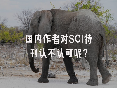 国内作者对SCI特刊认不认可呢？