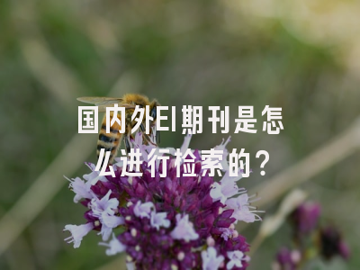 国内外EI期刊是怎么进行检索的？