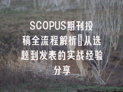 SCOPUS期刊投稿全流程解析：从选题到发表的实战经验分享