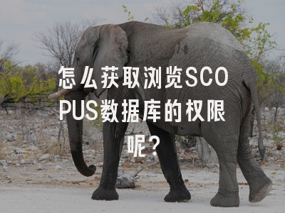 怎么获取浏览SCOPUS数据库的权限呢？