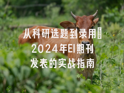 从科研选题到录用：2024年EI期刊发表的实战指南