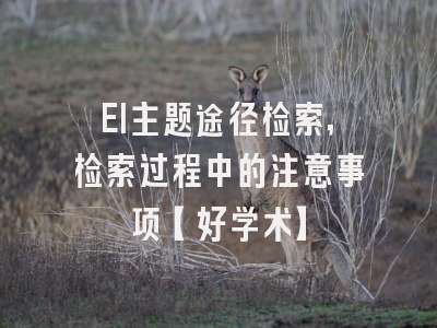 EI主题途径检索，检索过程中的注意事项【好学术】