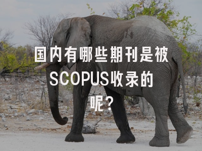 国内有哪些期刊是被SCOPUS收录的呢？