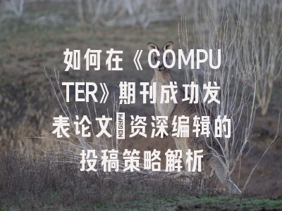 如何在《COMPUTER》期刊成功发表论文：资深编辑的投稿策略解析