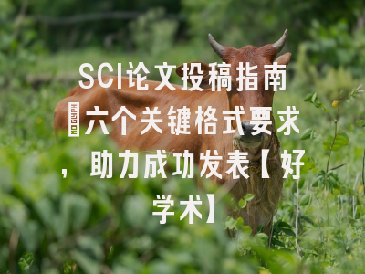 SCI论文投稿指南：六个关键格式要求，助力成功发表【好学术】