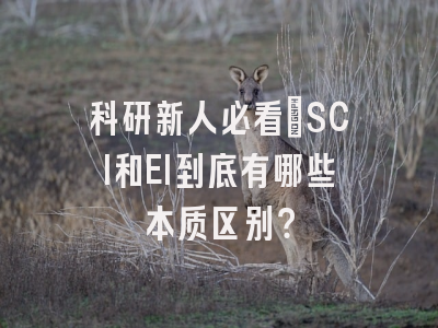 科研新人必看：SCI和EI到底有哪些本质区别？