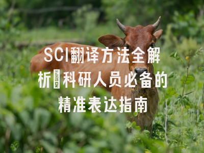 SCI翻译方法全解析：科研人员必备的精准表达指南