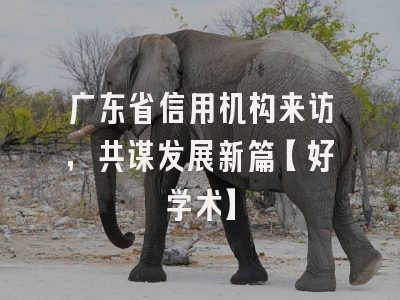 广东省信用机构来访，共谋发展新篇【好学术】