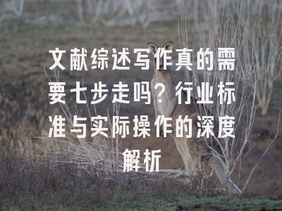文献综述写作真的需要七步走吗？行业标准与实际操作的深度解析