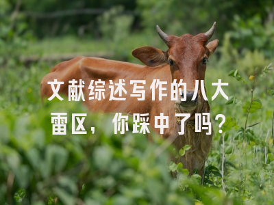 文献综述写作的八大雷区，你踩中了吗？