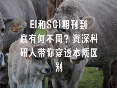 EI和SCI期刊到底有何不同？资深科研人带你穿透本质区别