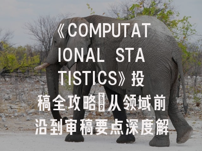 《COMPUTATIONAL STATISTICS》投稿全攻略：从领域前沿到审稿要点深度解析