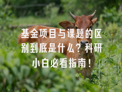基金项目与课题的区别到底是什么？科研小白必看指南！