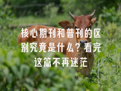 核心期刊和普刊的区别究竟是什么？看完这篇不再迷茫