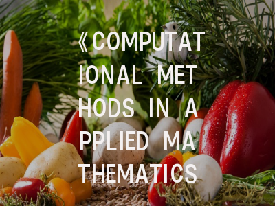 《COMPUTATIONAL METHODS IN APPLIED MATHEMATICS》期刊解析与成功投稿指南