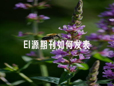 EI源期刊如何发表