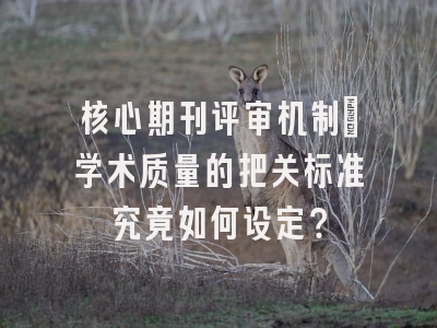 核心期刊评审机制：学术质量的把关标准究竟如何设定？