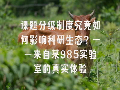 课题分级制度究竟如何影响科研生态？——来自某985实验室的真实体验