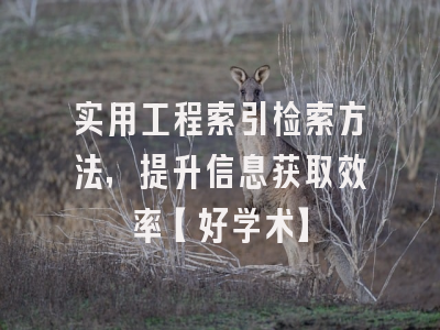 实用工程索引检索方法，提升信息获取效率【好学术】