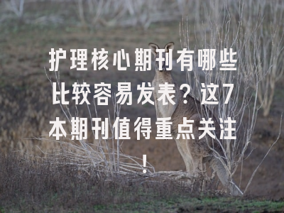 护理核心期刊有哪些比较容易发表？这7本期刊值得重点关注！