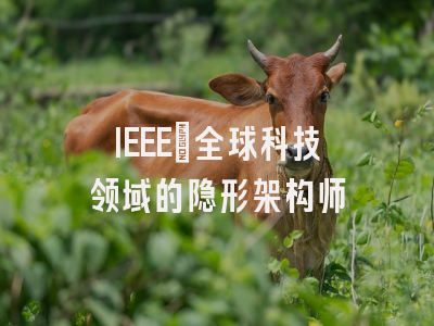 IEEE：全球科技领域的隐形架构师