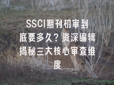 SSCI期刊初审到底要多久？资深编辑揭秘三大核心审查维度