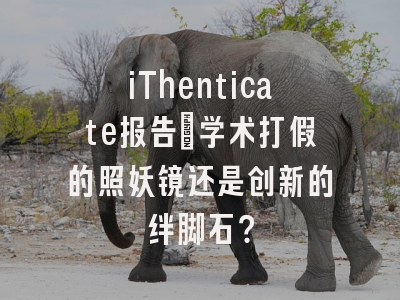 iThenticate报告：学术打假的照妖镜还是创新的绊脚石？