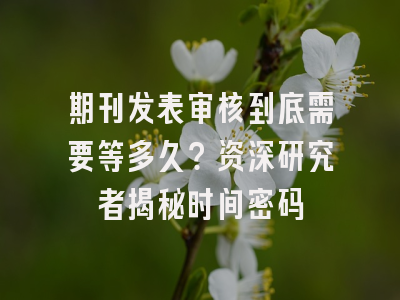 期刊发表审核到底需要等多久？资深研究者揭秘时间密码