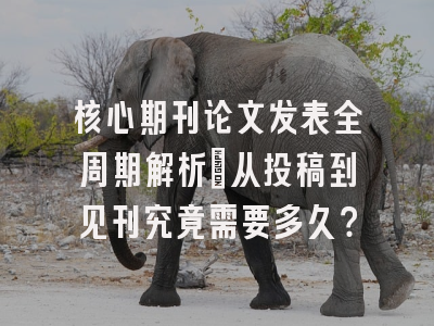 核心期刊论文发表全周期解析：从投稿到见刊究竟需要多久？