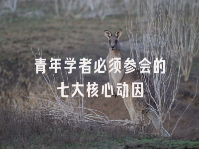 青年学者必须参会的七大核心动因