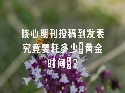 核心期刊投稿到发表究竟要耗多少「黄金时间」？