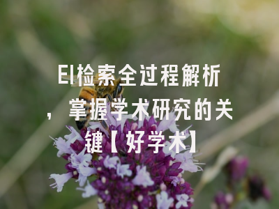 EI检索全过程解析，掌握学术研究的关键【好学术】