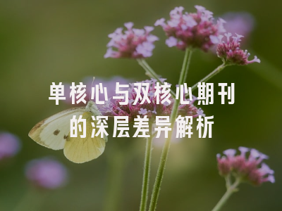 单核心与双核心期刊的深层差异解析