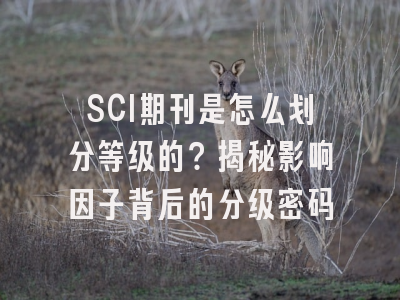 SCI期刊是怎么划分等级的？揭秘影响因子背后的分级密码
