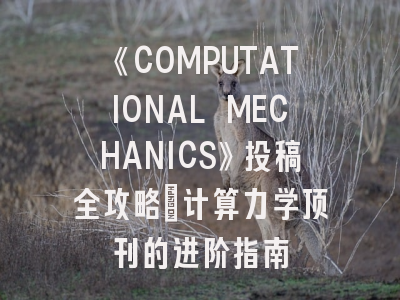 《COMPUTATIONAL MECHANICS》投稿全攻略：计算力学顶刊的进阶指南