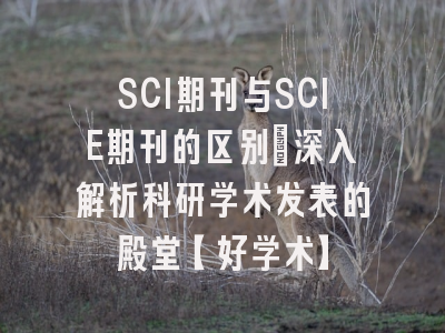 SCI期刊与SCIE期刊的区别：深入解析科研学术发表的殿堂【好学术】