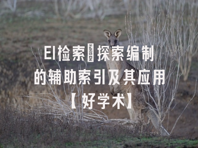 EI检索：探索编制的辅助索引及其应用【好学术】