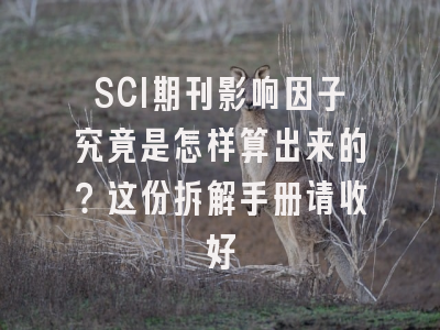 SCI期刊影响因子究竟是怎样算出来的？这份拆解手册请收好