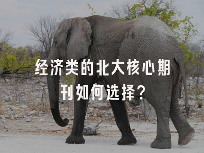 经济类的北大核心期刊如何选择？