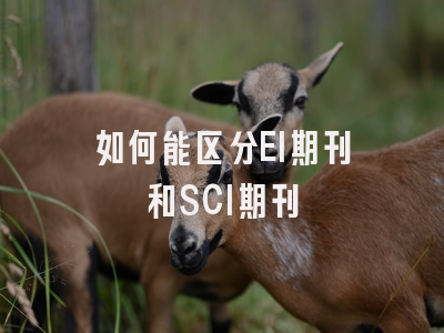 如何能区分EI期刊和SCI期刊
