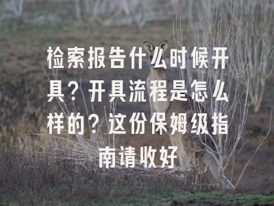 检索报告什么时候开具？开具流程是怎么样的？这份保姆级指南请收好