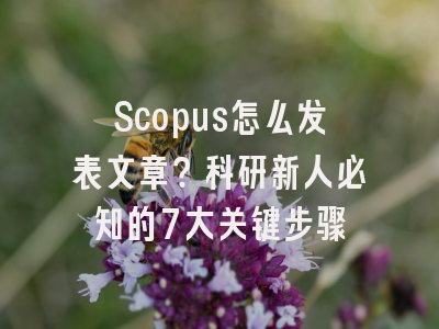 Scopus怎么发表文章？科研新人必知的7大关键步骤