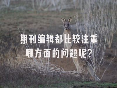 期刊编辑都比较注重哪方面的问题呢？