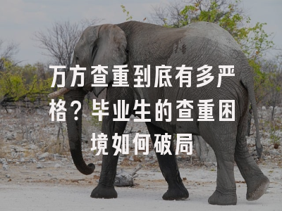 万方查重到底有多严格？毕业生的查重困境如何破局