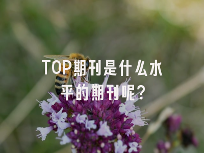 TOP期刊是什么水平的期刊呢？