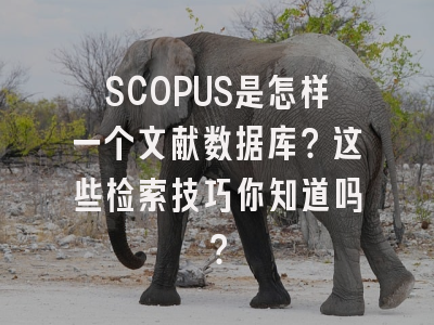 SCOPUS是怎样一个文献数据库？这些检索技巧你知道吗？